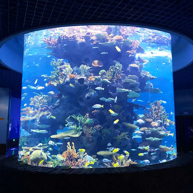 Aquarium Project Construction Large Fish tank Custom Manufacturers Aquarium Super Large Acrylic Fish tank Customized